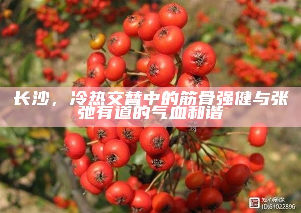 长沙，冷热交替中的筋骨强健与张弛有道的气血和谐